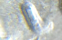 1984-P-Jefferson-Nickel-Reverse-Doubled-Die?
